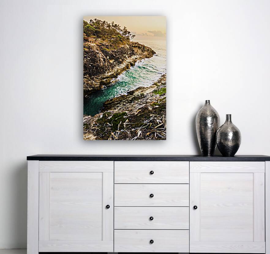 Coastal cliffs Reproduction