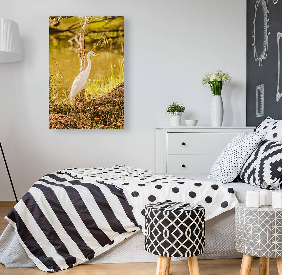 Afternoon lakes Reproduction