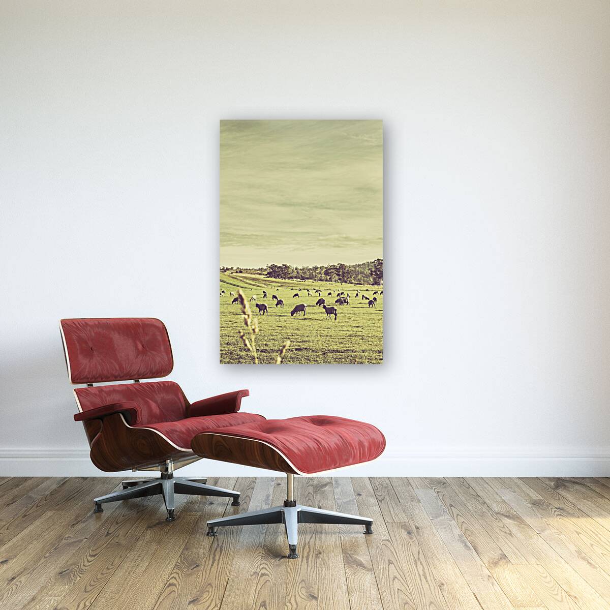 Sheep grazing in rustic Richmond Reproduction