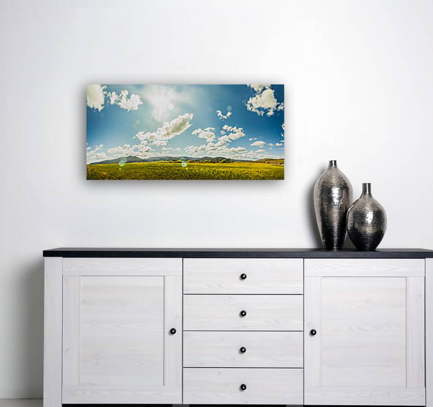 Spring country Reproduction