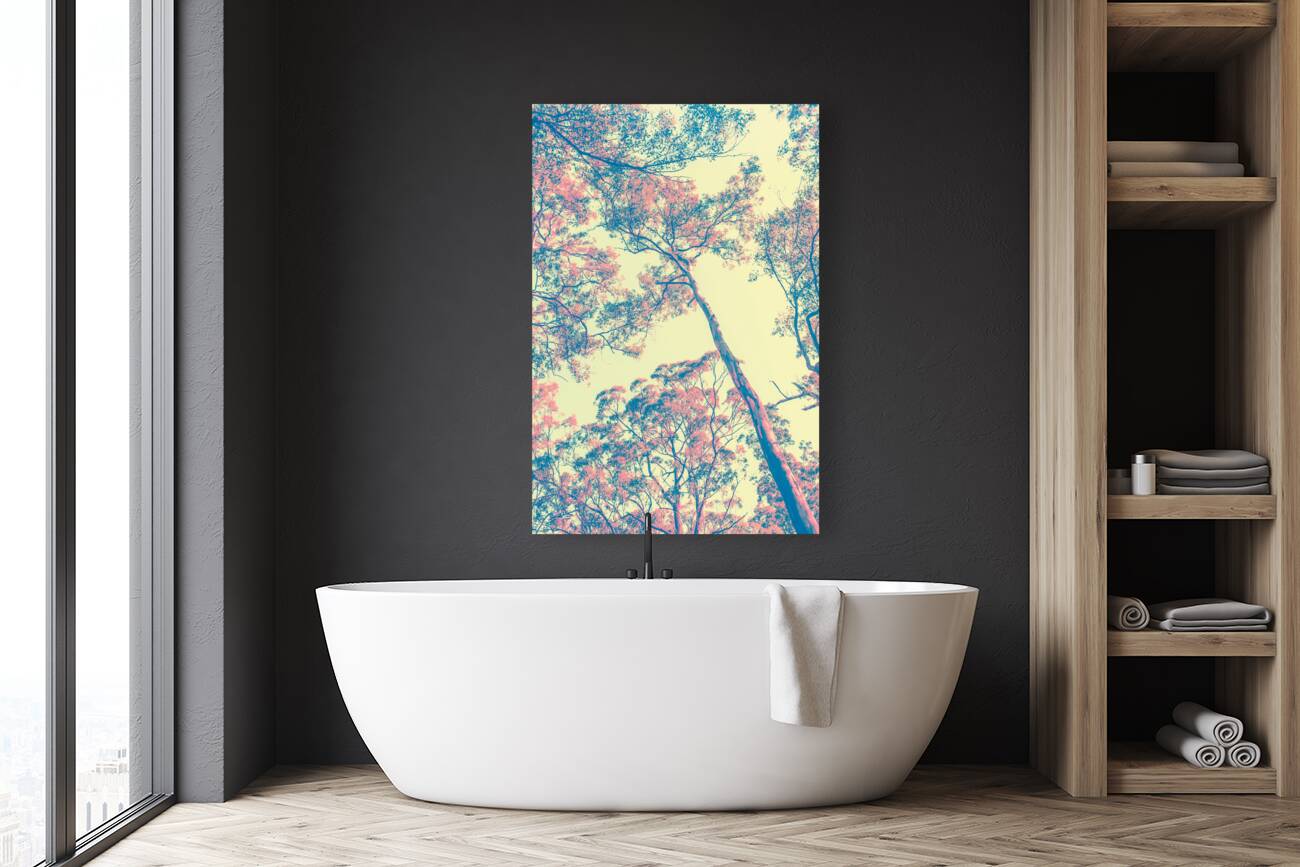 Autumnal color  Reproduction