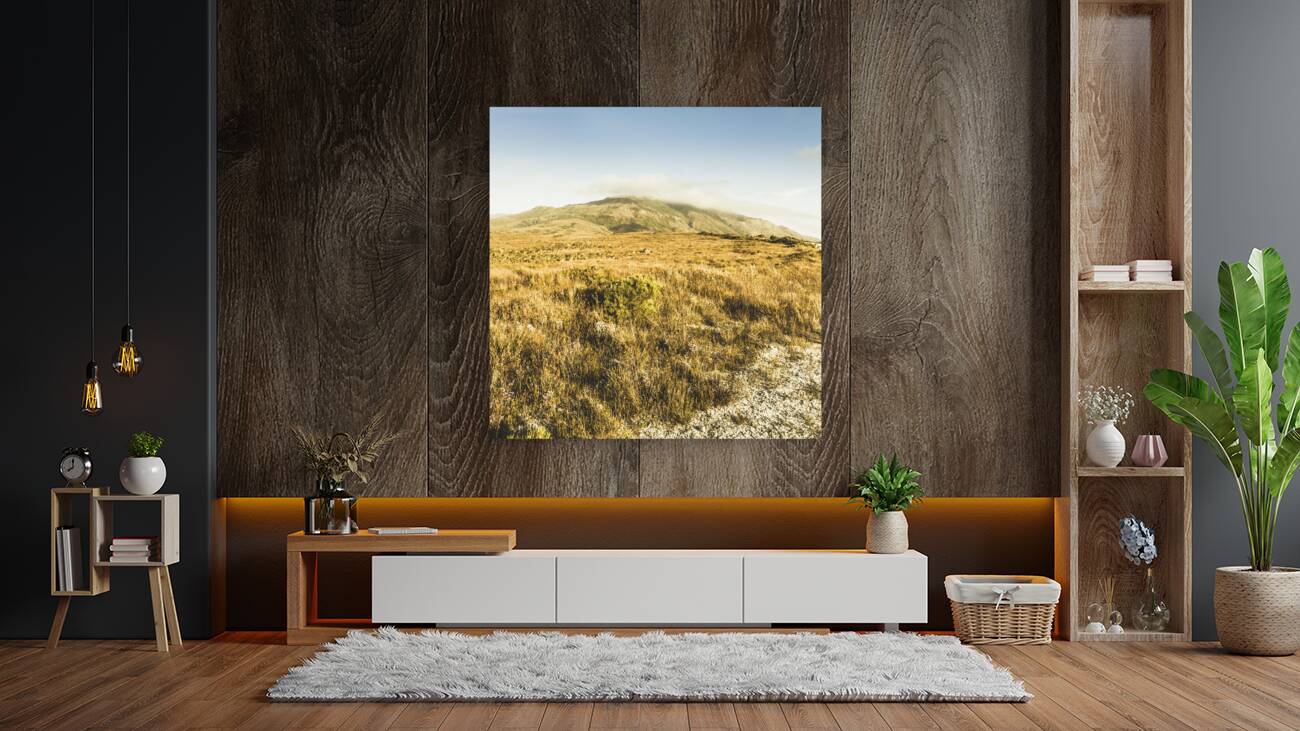 Pristine mountain plains Reproduction