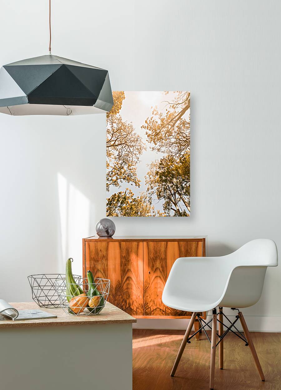 Falling In Reproduction