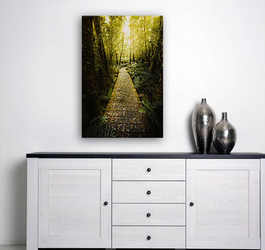 Lush Green Rainforest Walk Reproduction