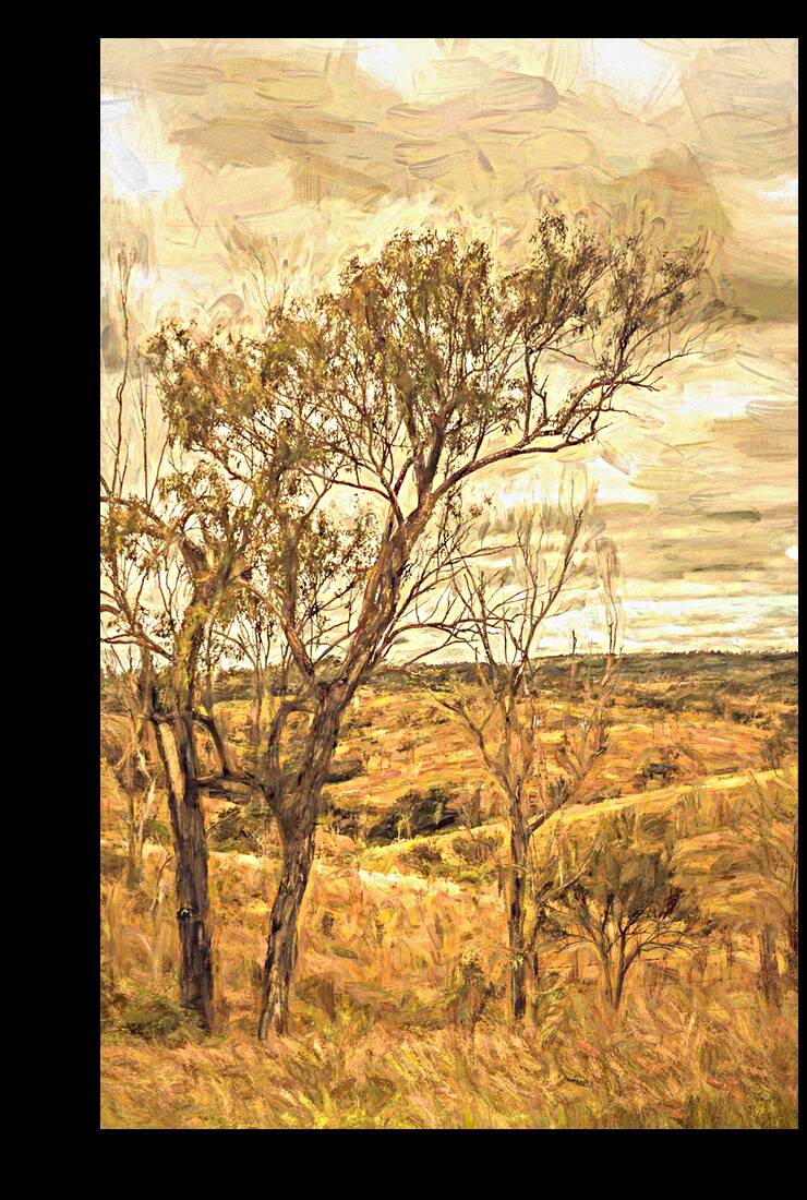 Summer dreaming Reproduction