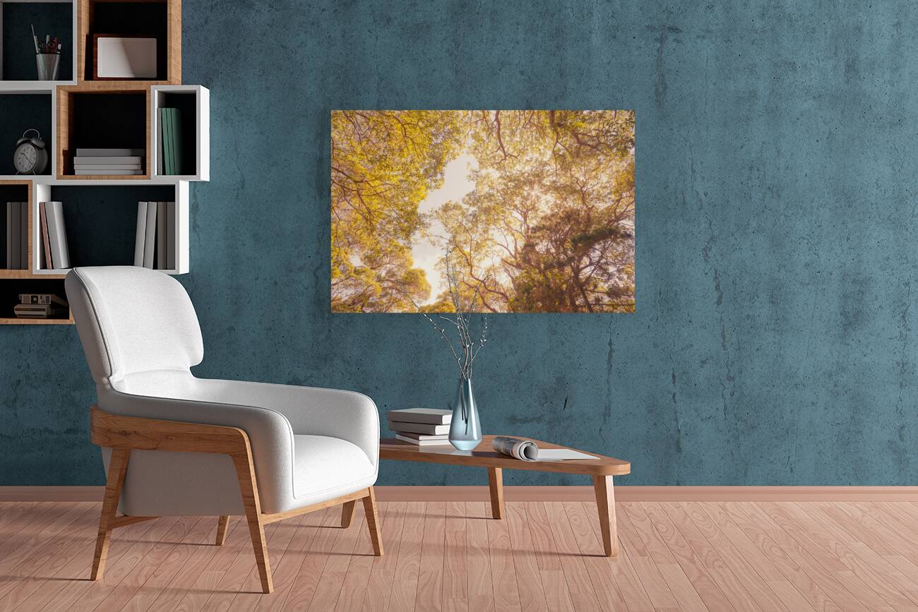 Beyond the pines Reproduction