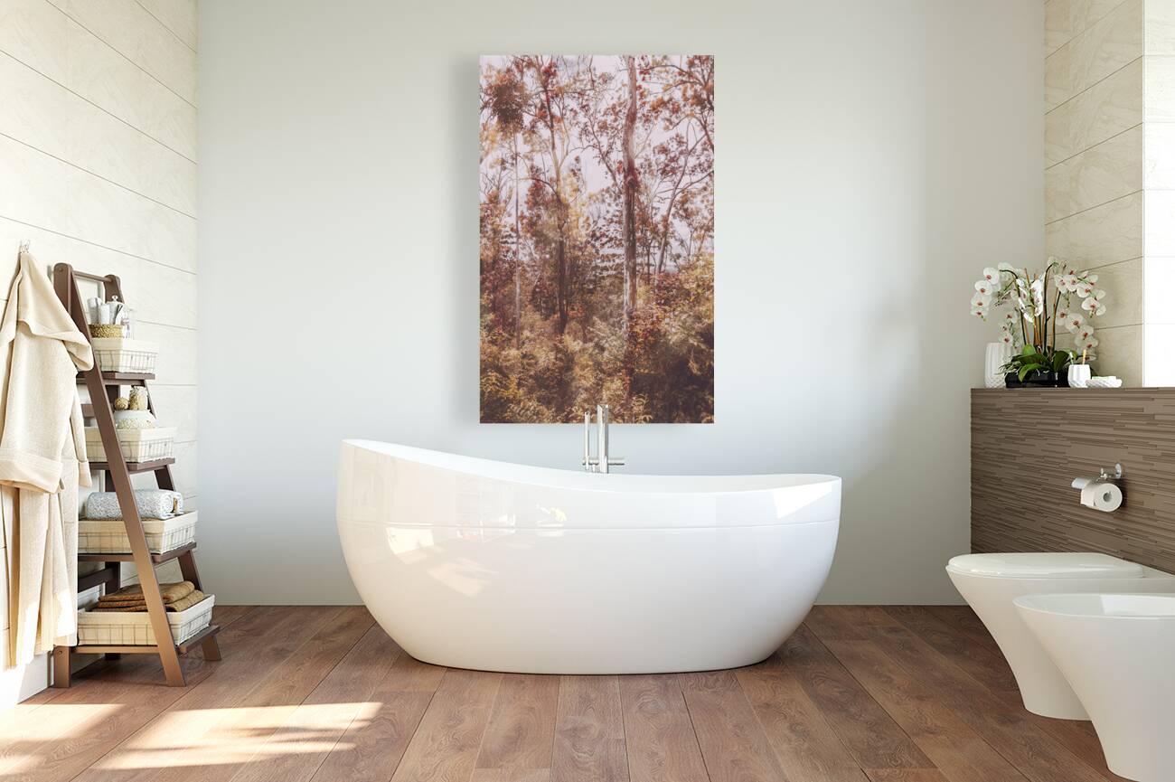 Backcountry colour Reproduction