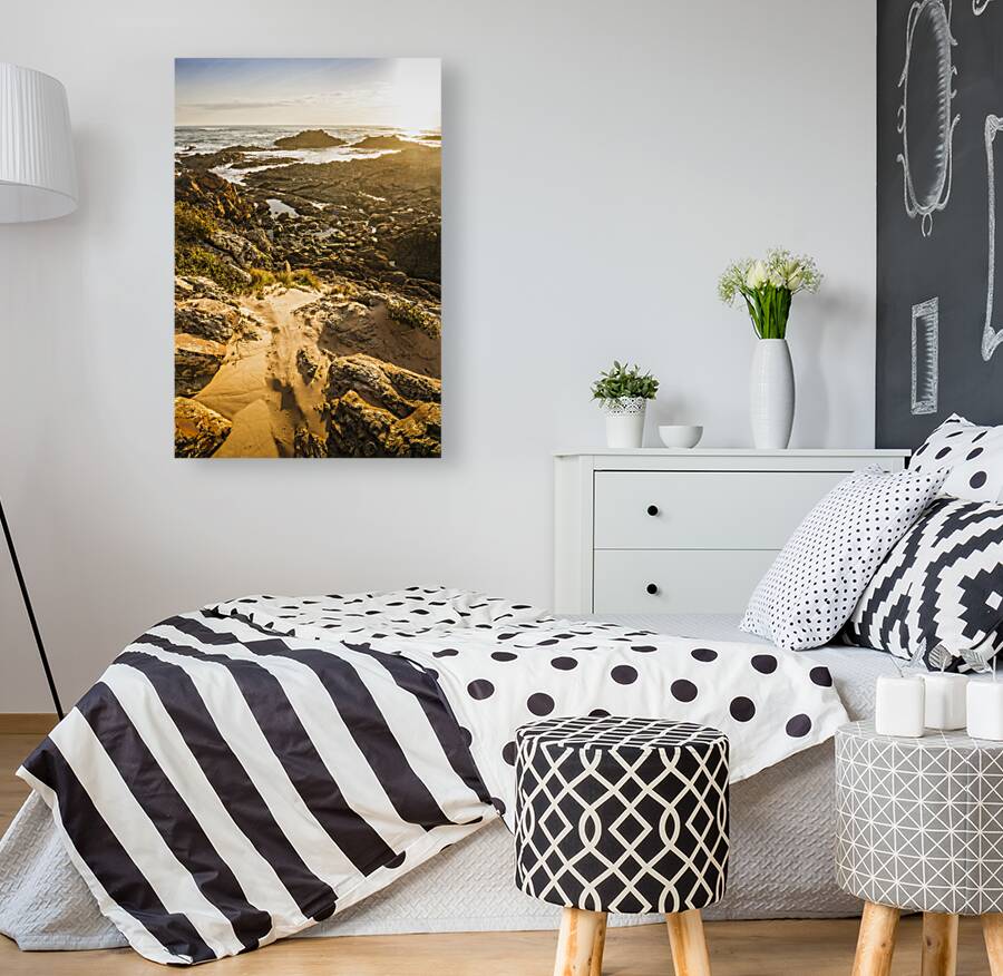 Shoreline Sunshine Reproduction