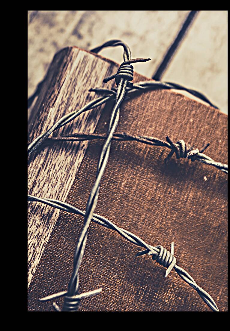 Control and confidentiality Reproduction