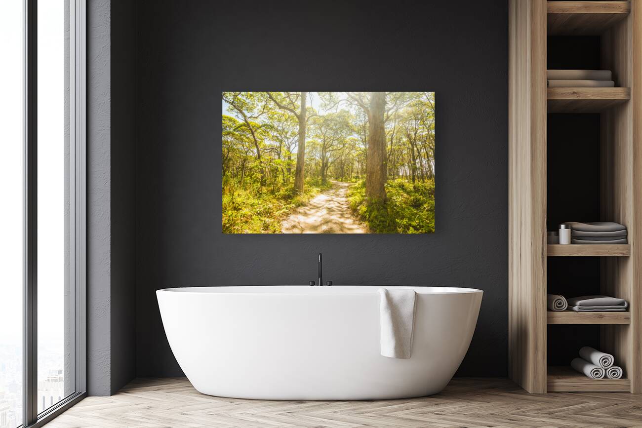 Wondersome Reproduction