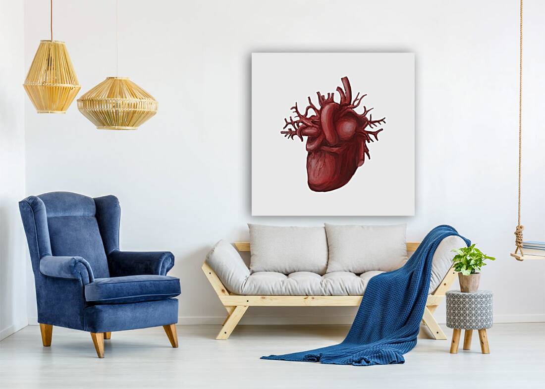 Human heart medical diagram isolated on white Reproduction