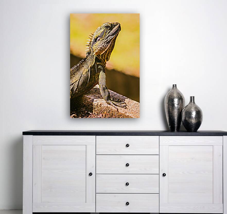 A predators portrait Reproduction