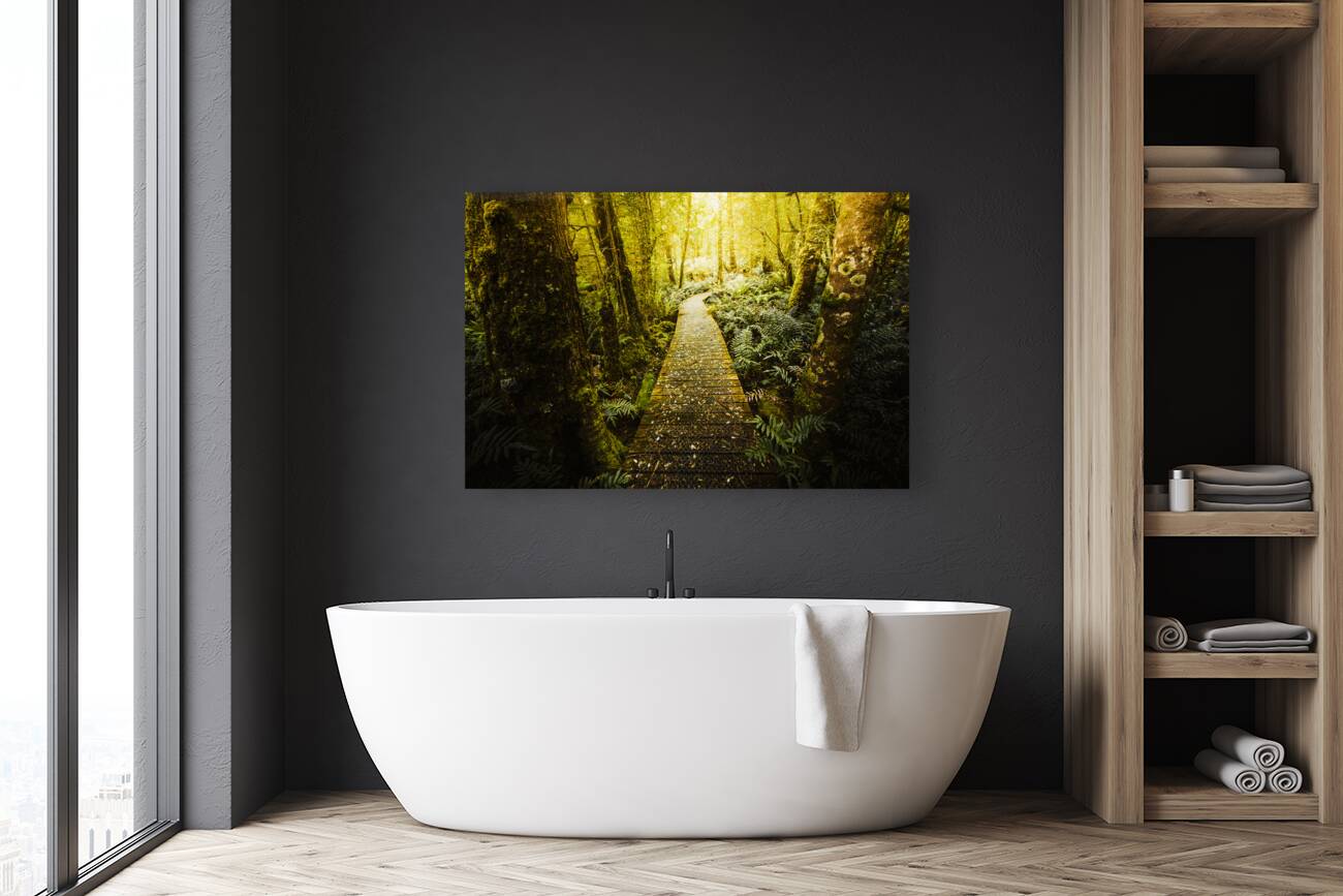 Tarkine Tasmania Trails Reproduction