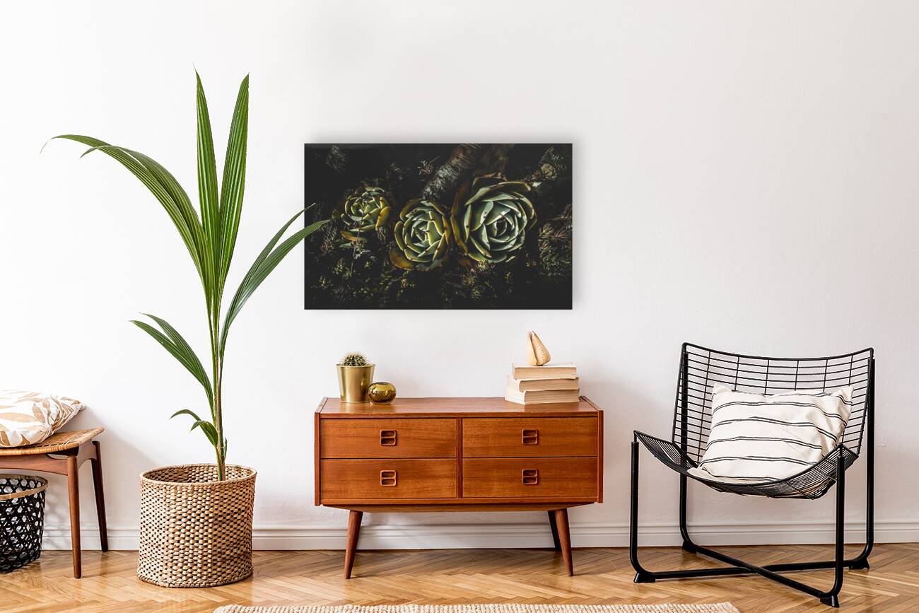 In dark bloom Reproduction