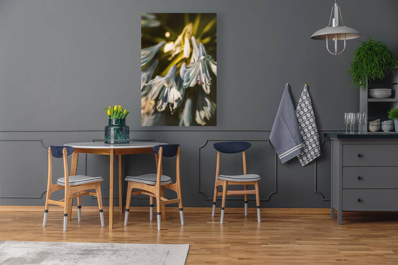 Vintage Agapanthus flower Reproduction