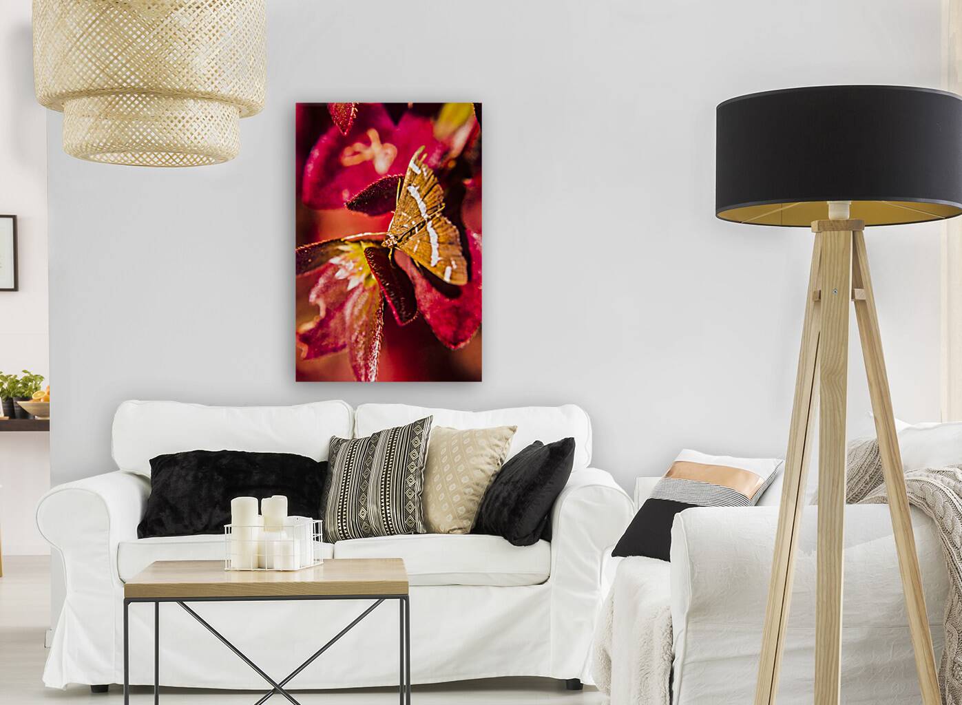 Wildlife wilderness Reproduction