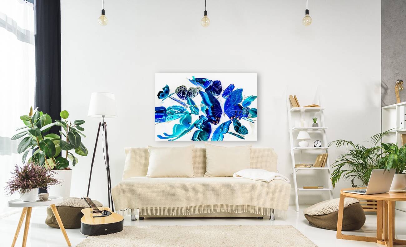 Blue buggery  Reproduction