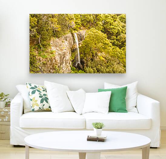 Scenic forest falls Reproduction