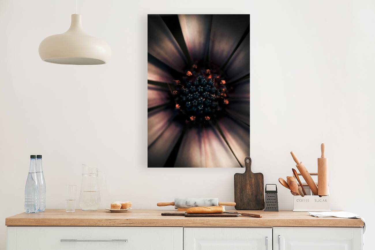 Spring Darkness Reproduction