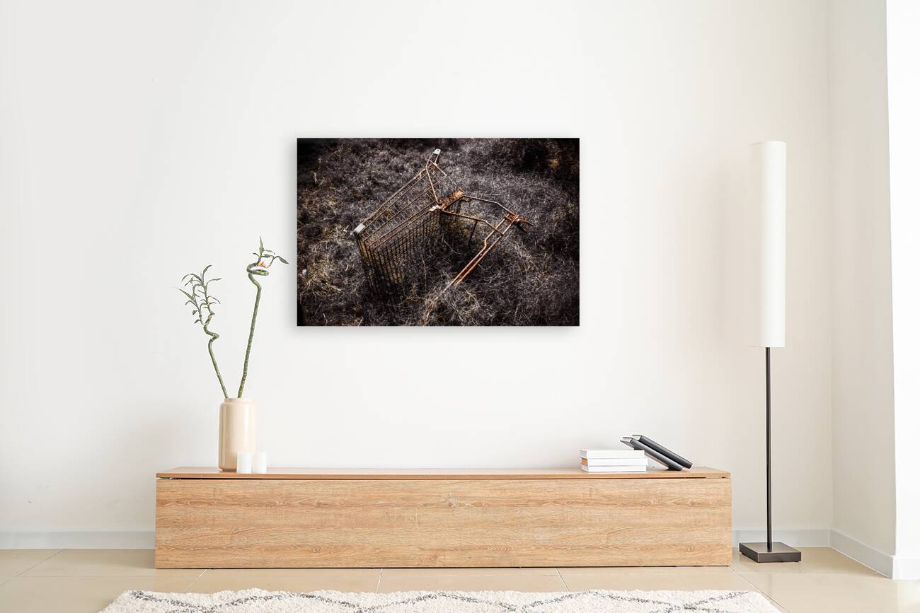 Coming to a store near you Reproduction