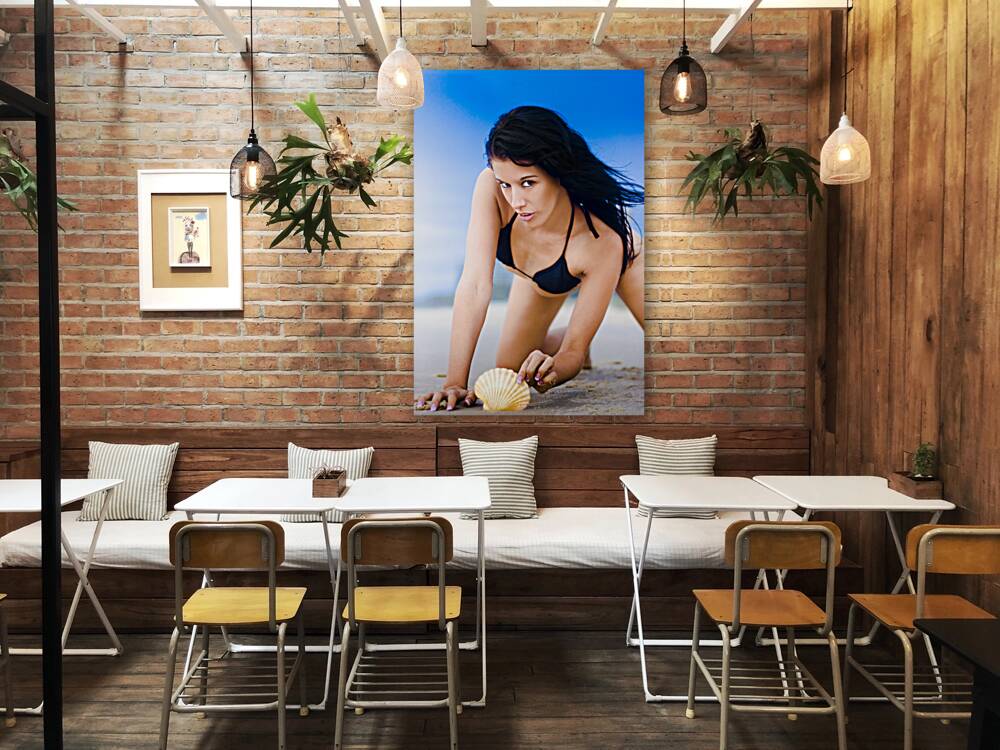 Shell Search Discovery Reproduction