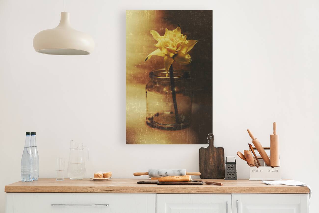 Vintage daffodil flower art Reproduction