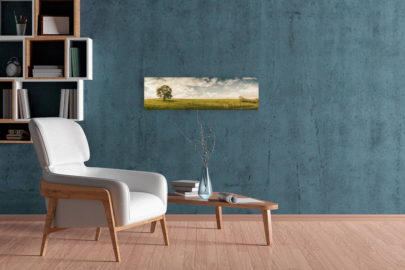 Camena Tasmania country panorama Reproduction