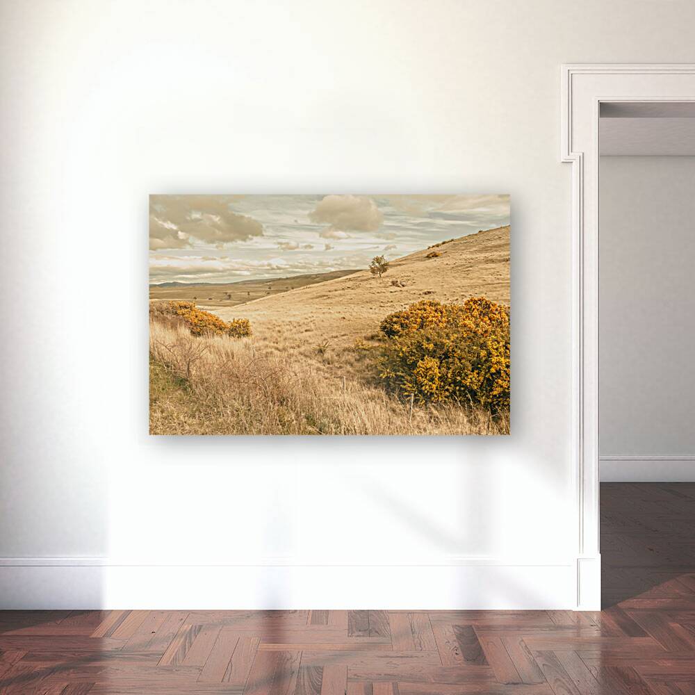 Meandering hills Reproduction