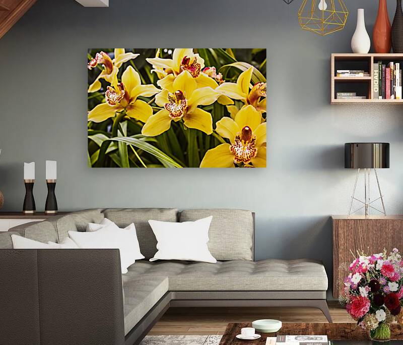 Exotic orchids  Reproduction