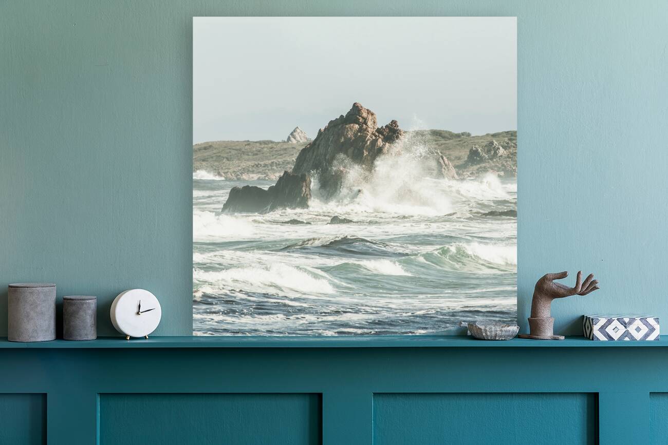 Aquatic spray Reproduction