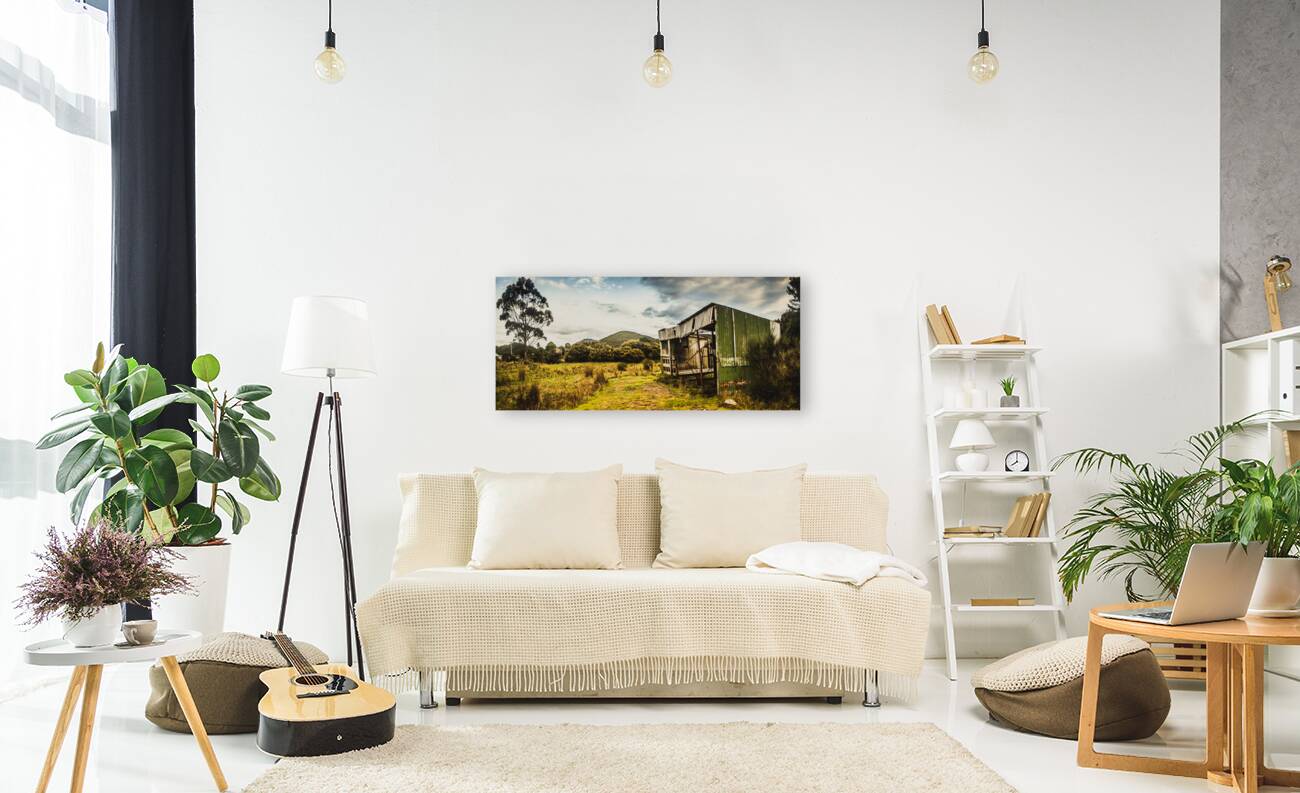 Rural abandoned shed in old rural countryside Reproduction