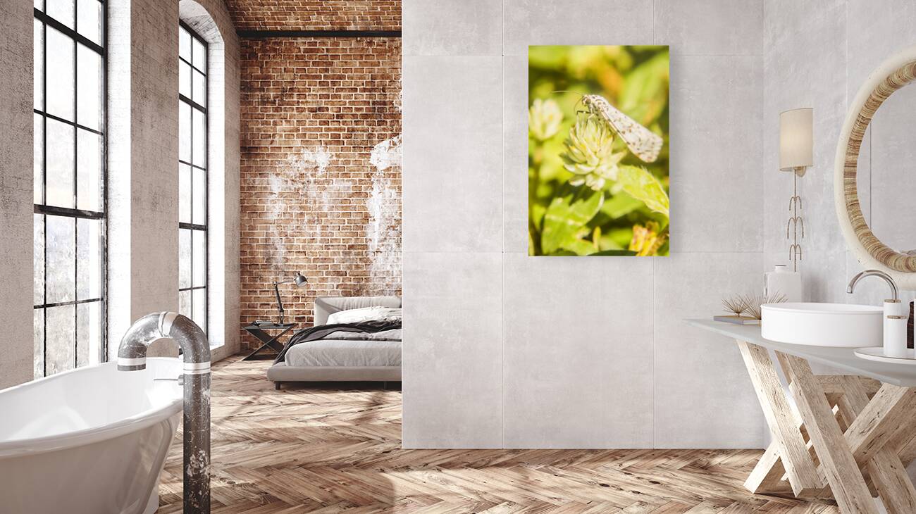 Mothballed Reproduction