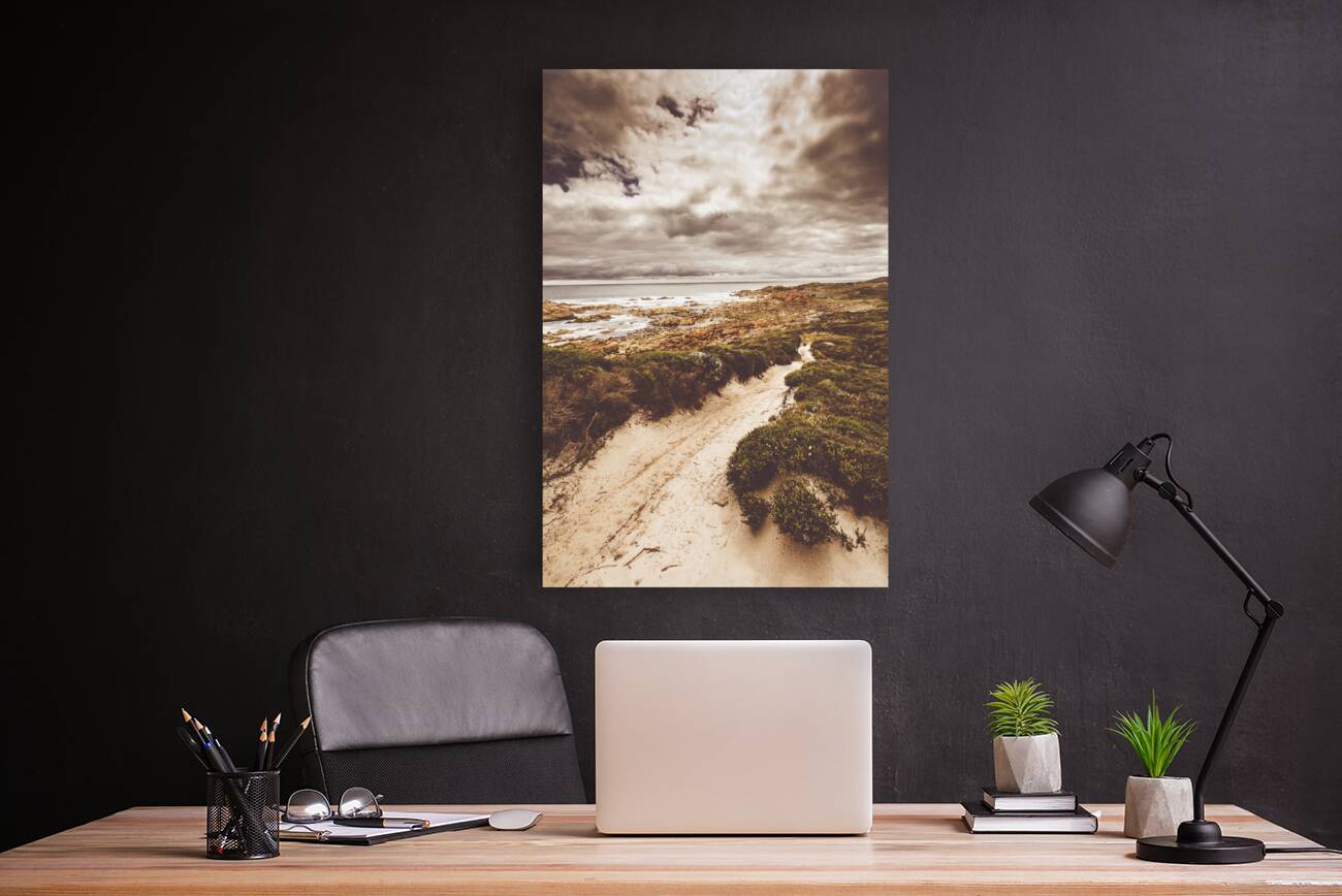 Pathways to seaside paradise Reproduction