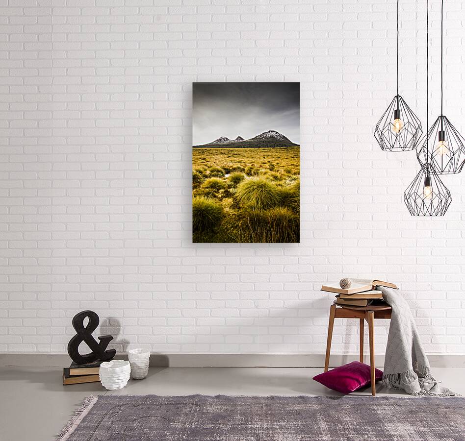 Snowy Tasmania mountain top Reproduction