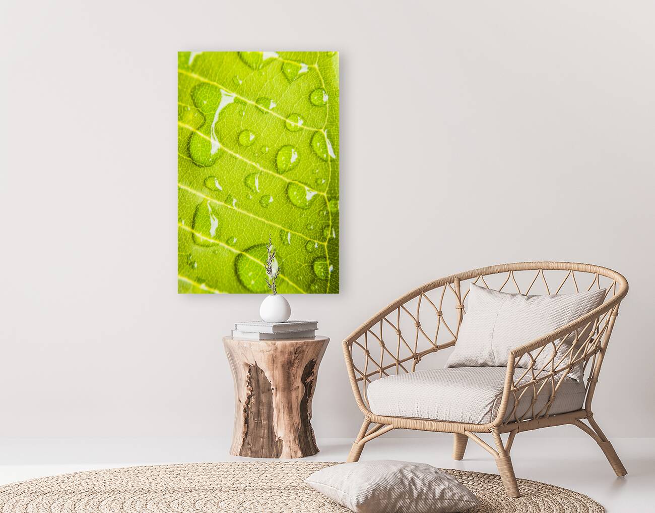 Summer rain Reproduction