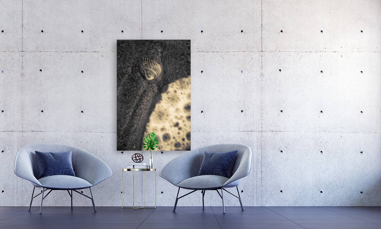 Ocean Rush Reproduction