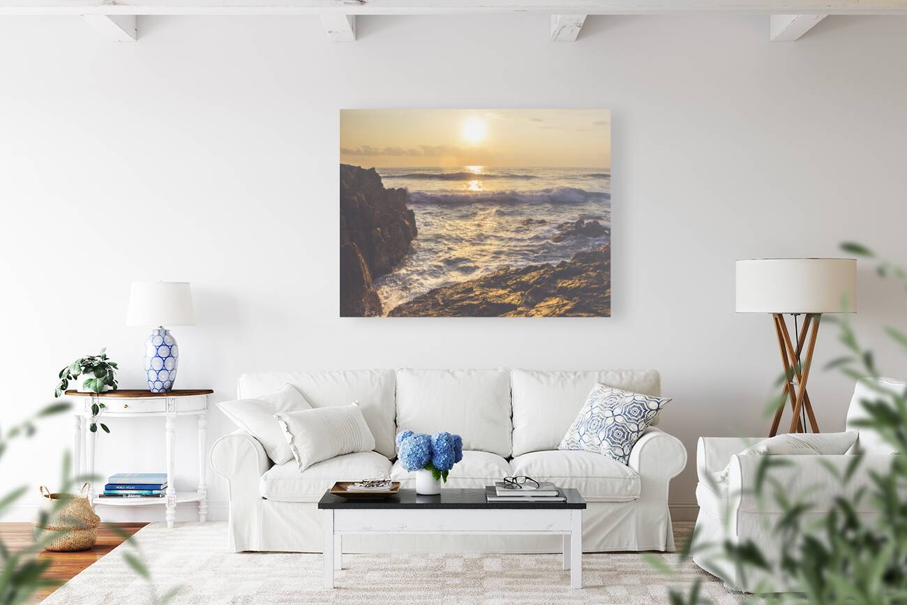 Summer Fade Reproduction