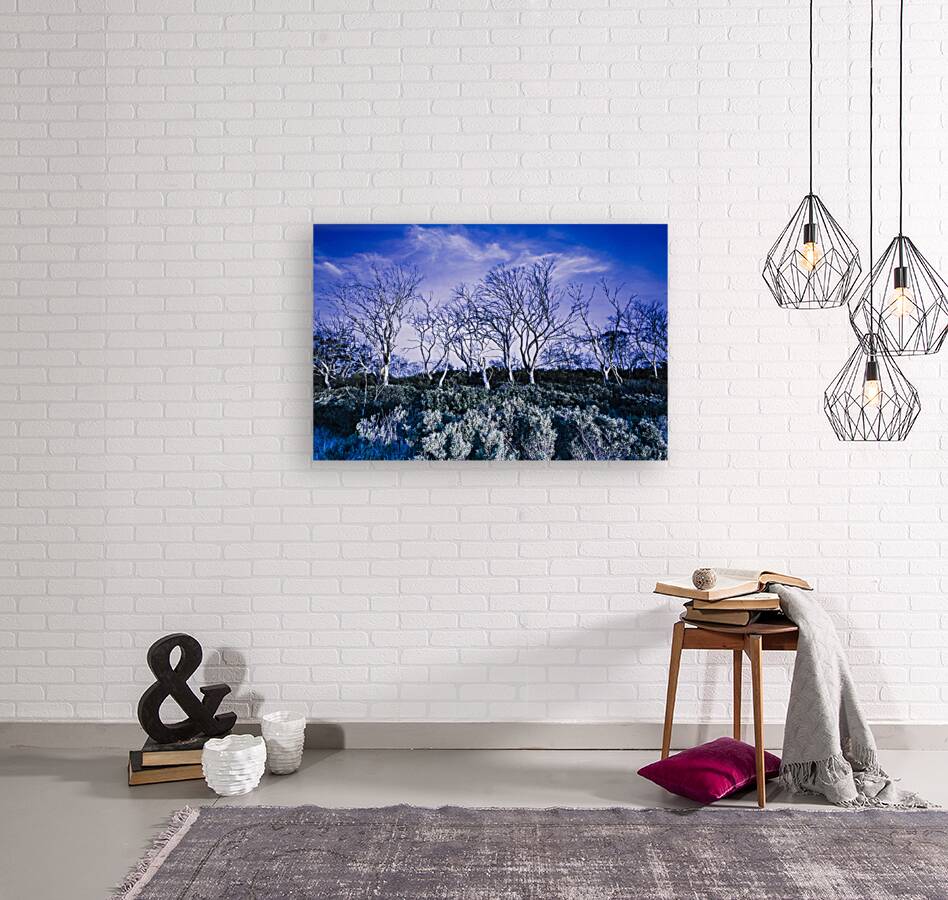 Dark scene from scary dreams Reproduction