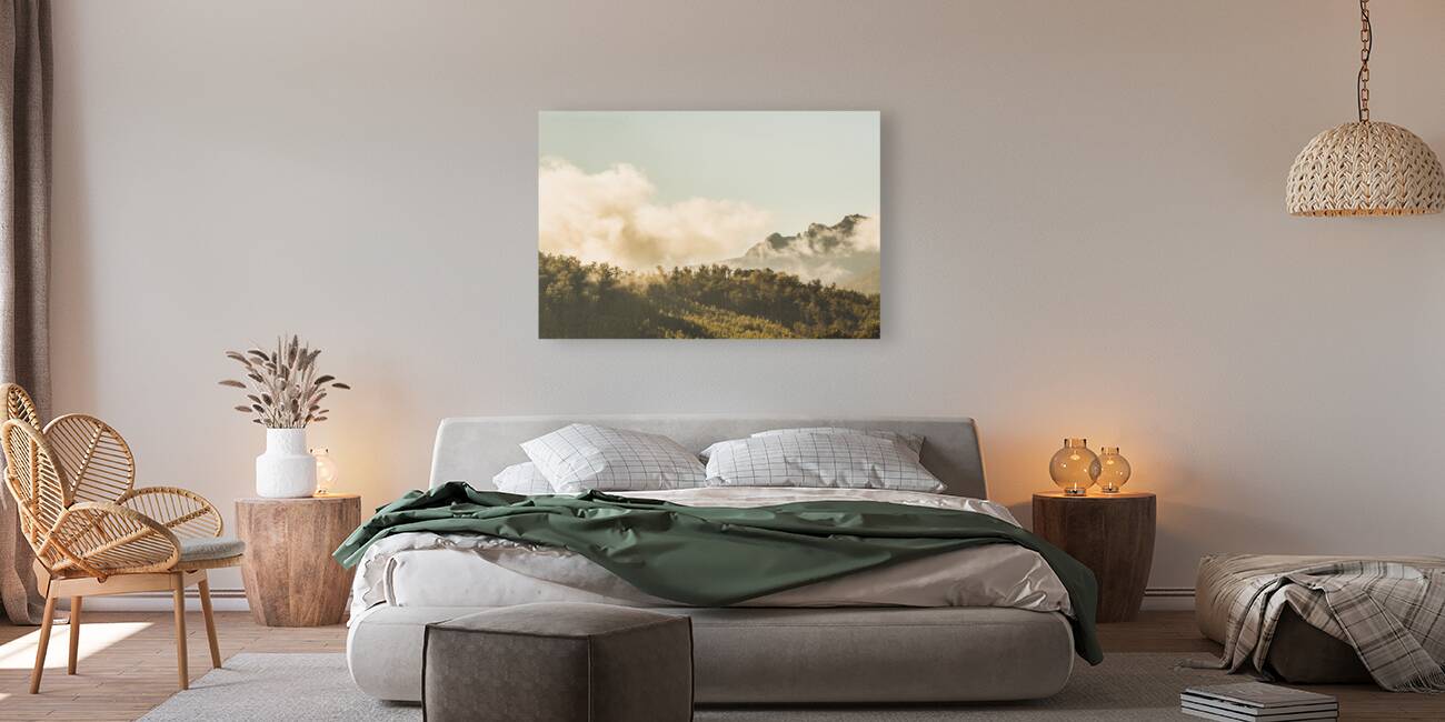 Wild morning peak Reproduction