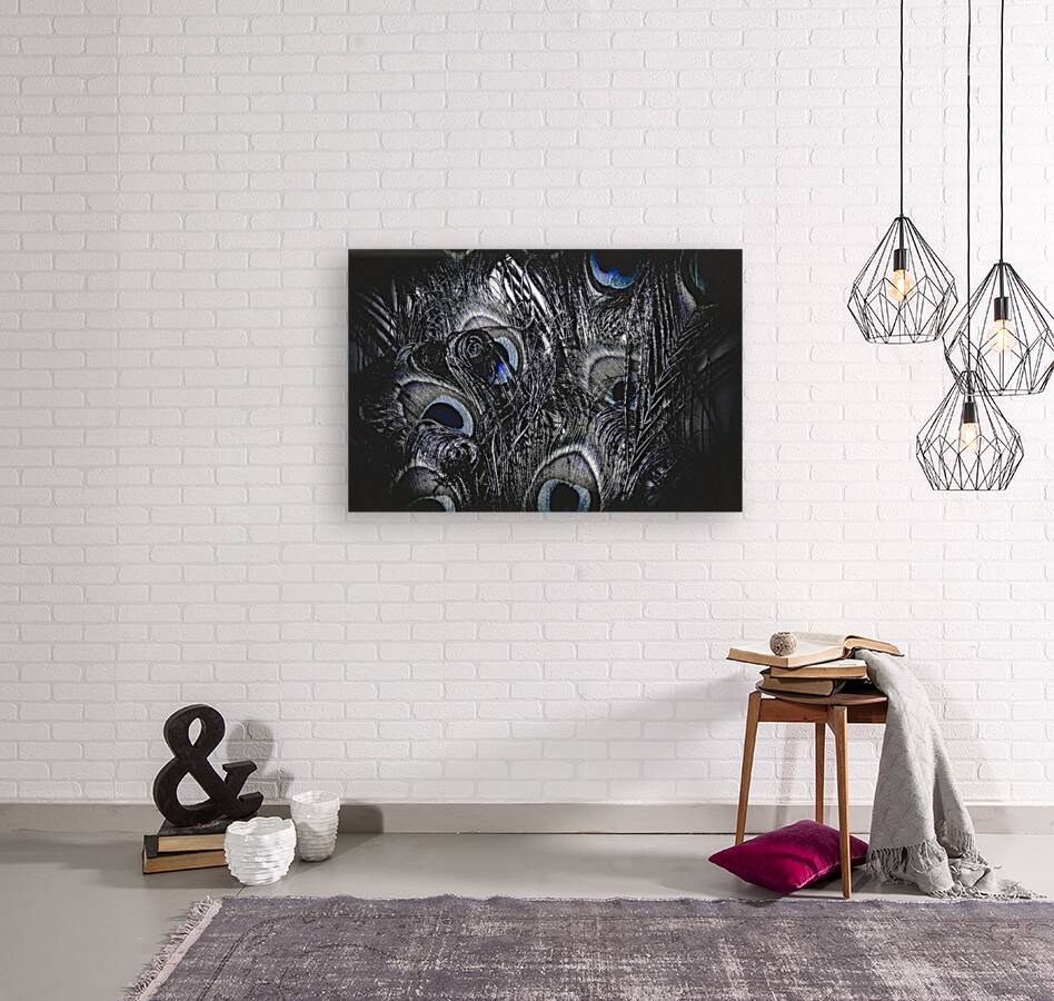 Dark blue peacock feathers  Reproduction