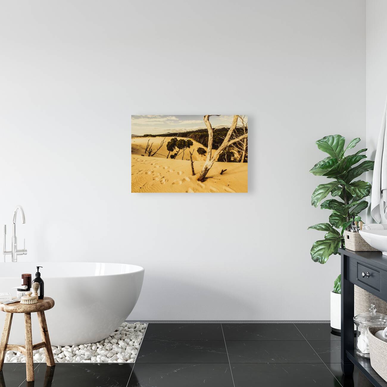 Strahan sand dune landscape Reproduction