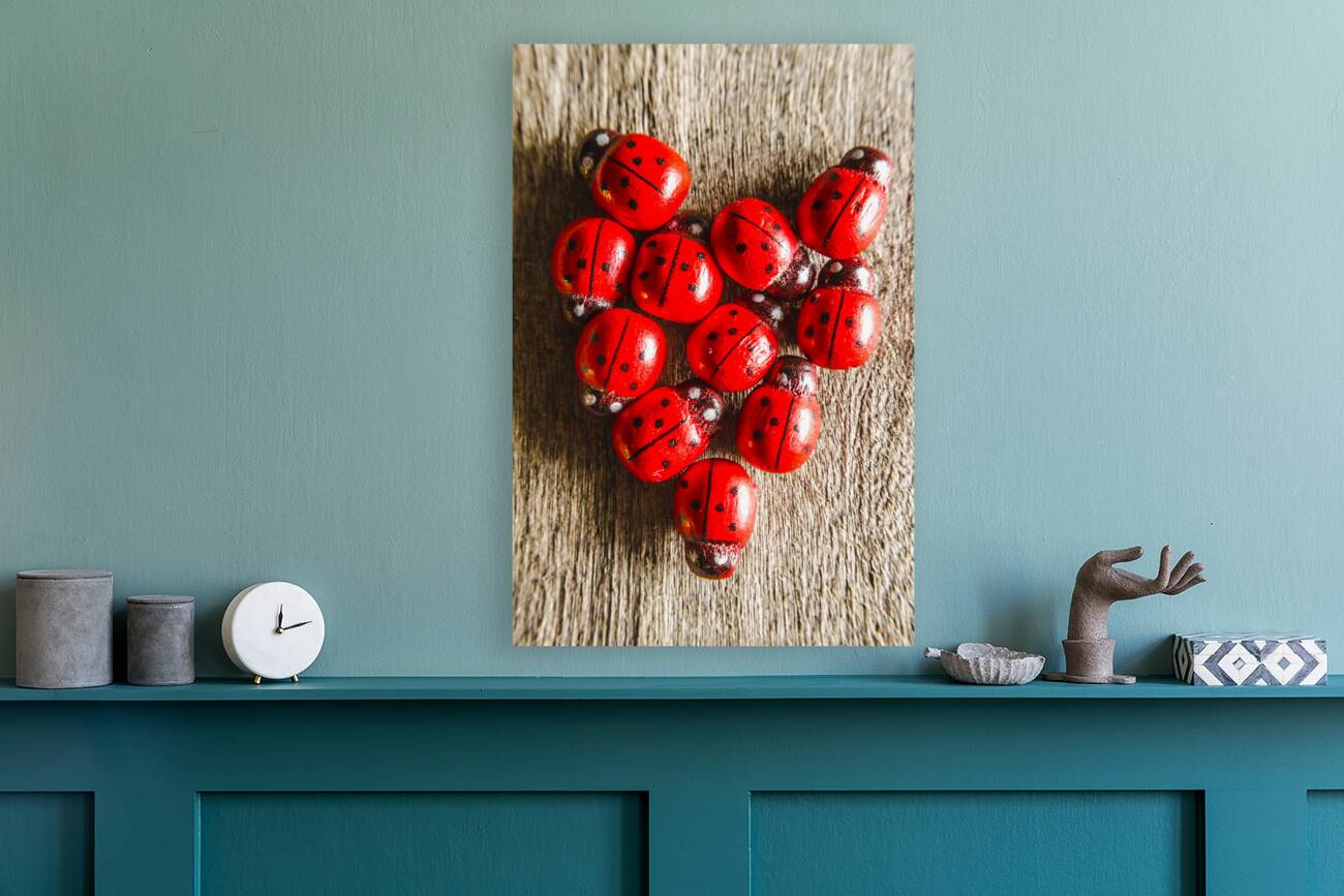 Love bug Reproduction