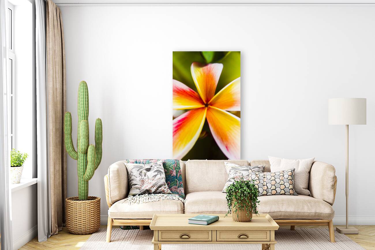 Centered  Reproduction