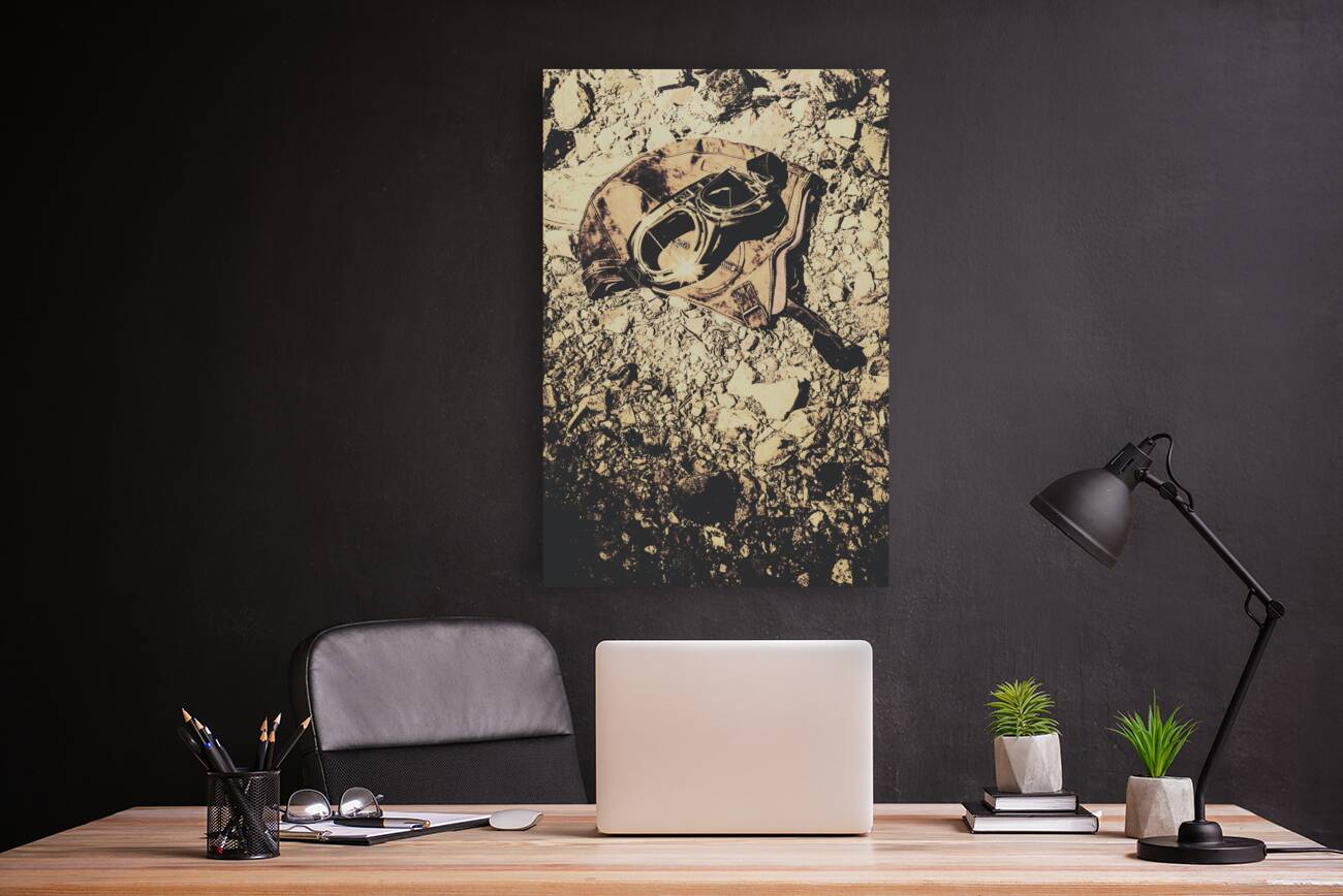 Pioneering aviation and travel Reproduction