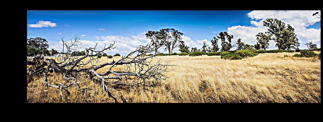 Australia summer landscape of rural Tasmania Reproduction
