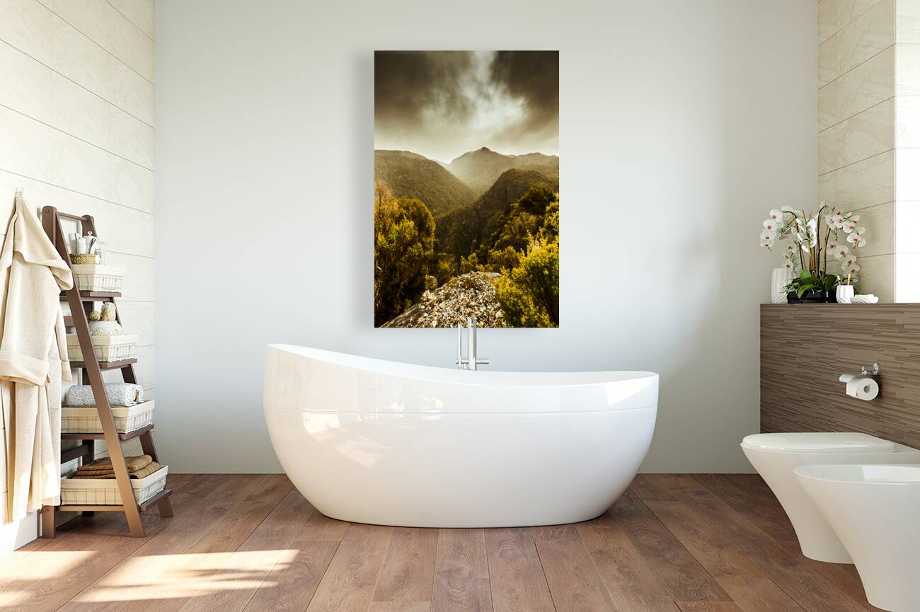 Foggy mountainous forest Reproduction