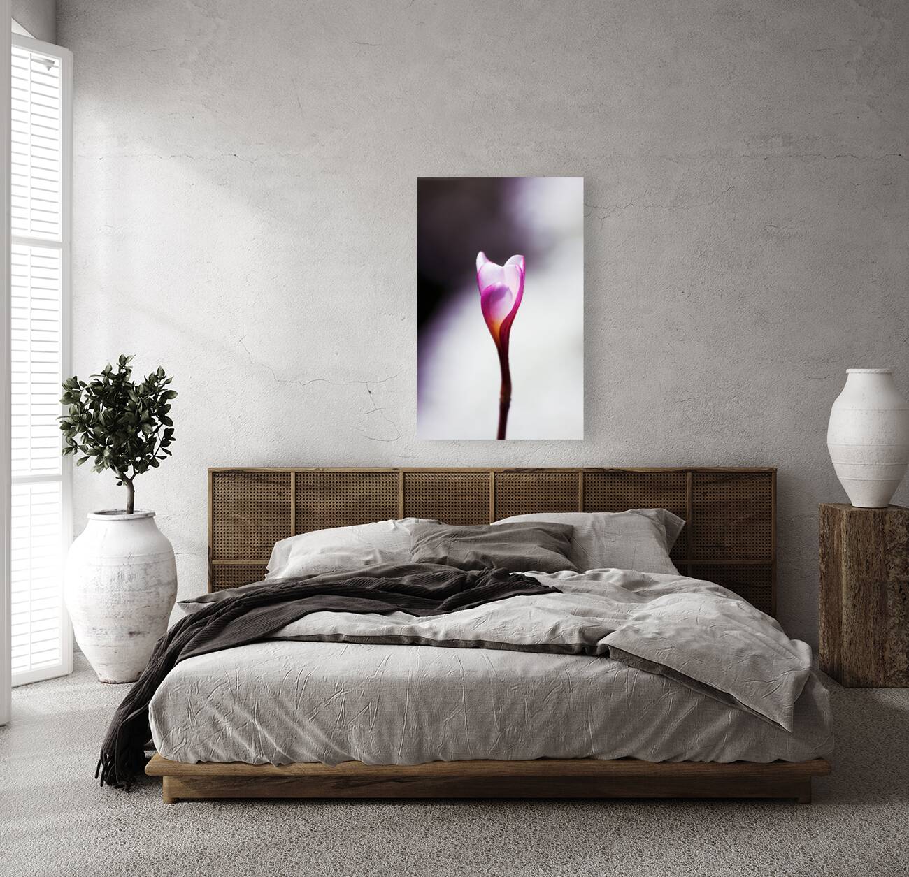 Beauty In Growth Reproduction