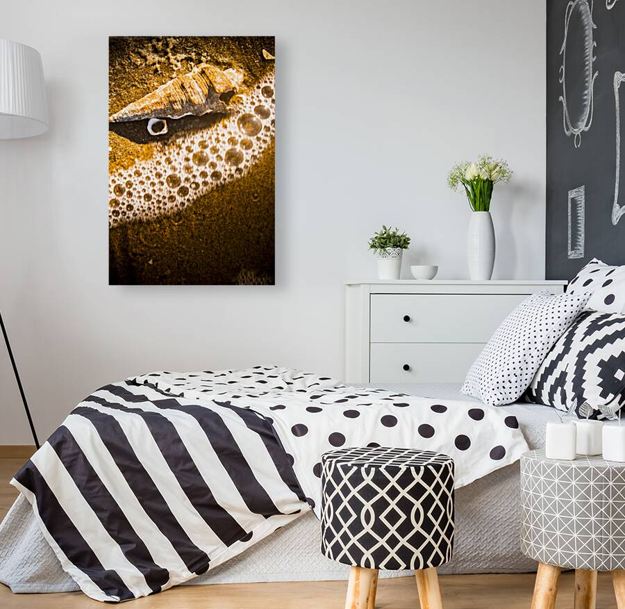 Sea shells and ocean ripples Reproduction