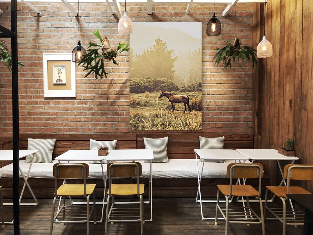 Western ranch horse Reproduction