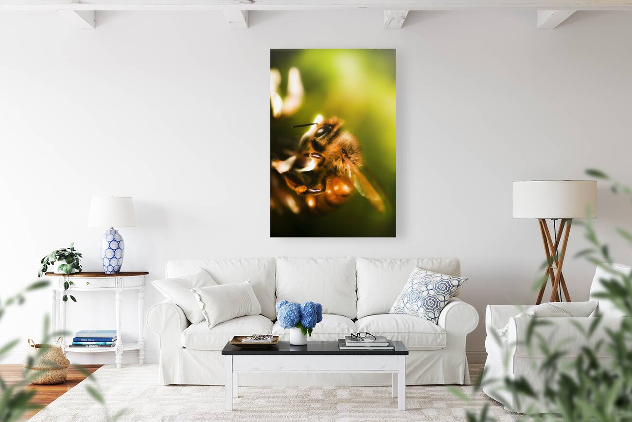 Process Of Pollination Reproduction